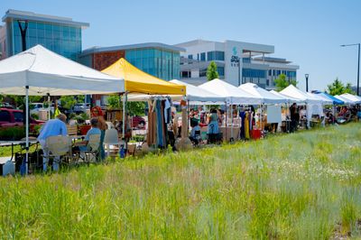 Sprouting Sustainability